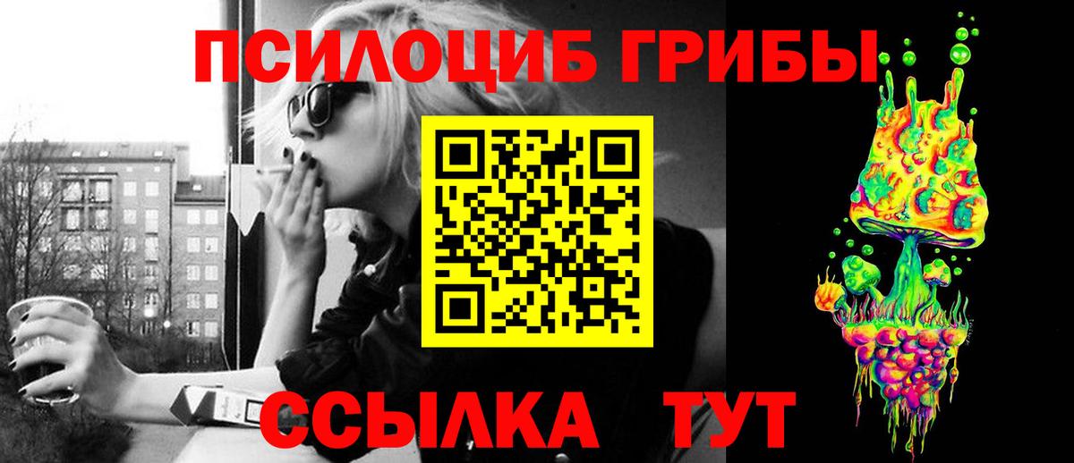 Галлюциногенные грибы мухоморы Карачаевск